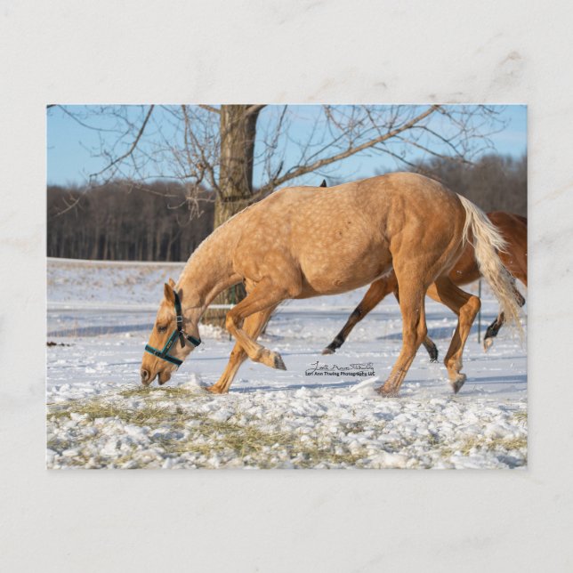 Carte postale de Lugos à retirer (Devant)