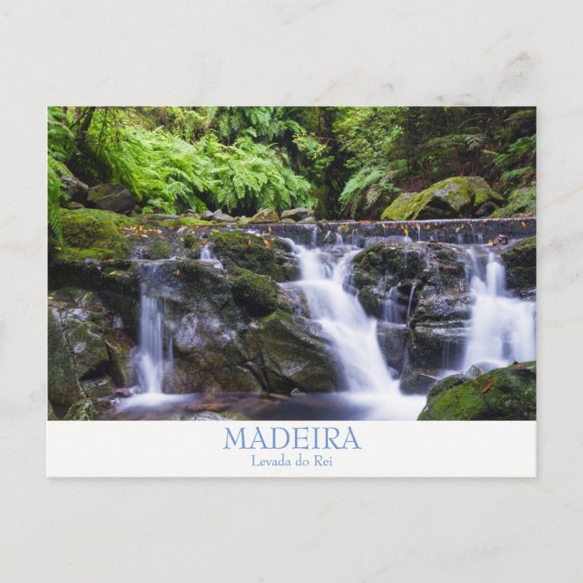 Carte postale de Madère - Levada do Rei avec texte (Devant)