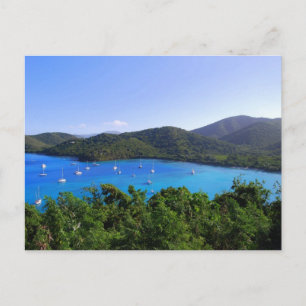 Carte postale de Maho Bay Beach, St. John, Îles Vi