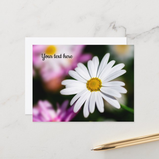 Carte postale de Marguerite Blanche Simple (Devant/Arrière en situation)