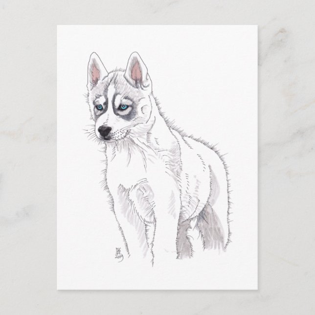 Carte postale de marionnettes sibériennes Husky 20 (Devant)