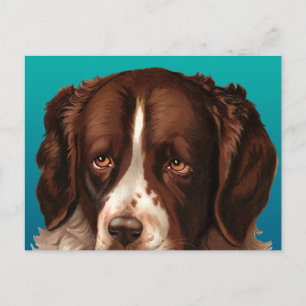 Carte postale de Max le gros chien