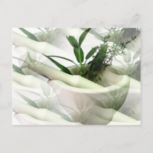 Carte postale de médecine alternative