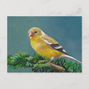 Carte postale de Mme Goldfinch Bird Art