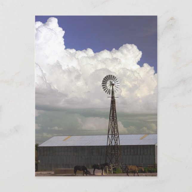 Carte postale de moulin à vent (Devant)