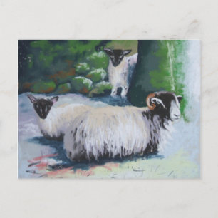 Carte postale de mouton de protection