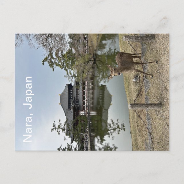 Carte postale de Nara, Japon (Devant)