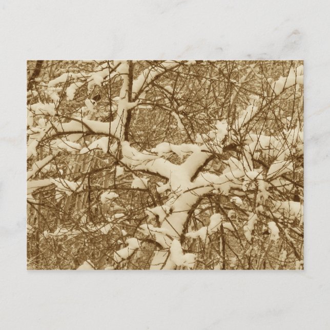 Carte postale de neige (Devant)