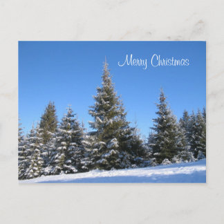 Carte postale de Noël