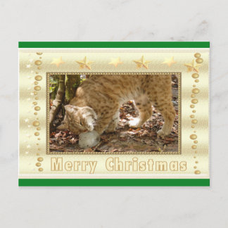 Carte postale de Noël Bobcat