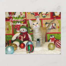 Carte postale de Noël Breezy - Chat / Kitten