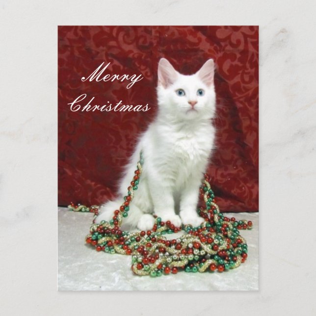Carte postale de Noël de Bianca - Chat / Kitten (Devant)