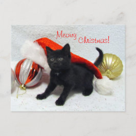Carte postale de Noël de Joon - chat / chaton