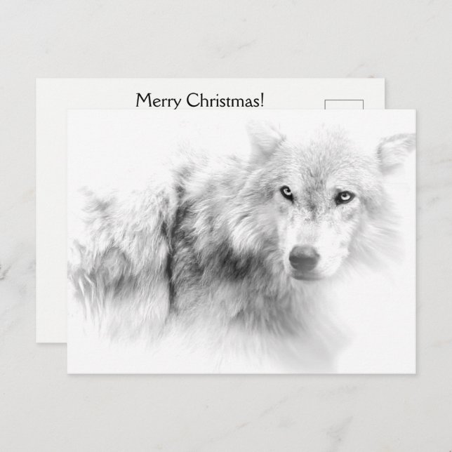 Carte postale de Noël noir et blanc Loup (Devant / Derrière)
