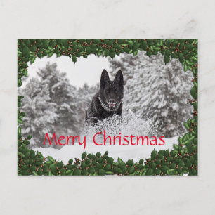 Carte postale de Noël personnalisée avec chien noi