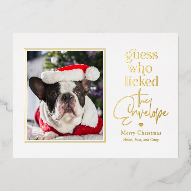 Carte postale de Noël pour animaux de compagnie (Recto)