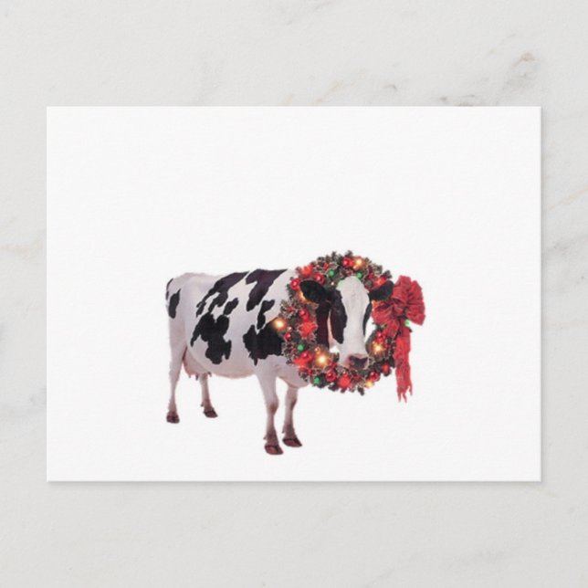Carte postale de Noël Vache Modèle (Devant)