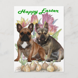 Carte postale de Pâques Bouledogue français