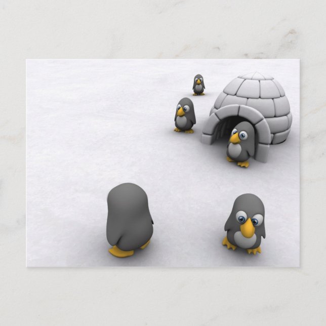 Carte postale de pingouin (Devant)