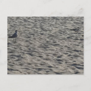 Carte postale de plage