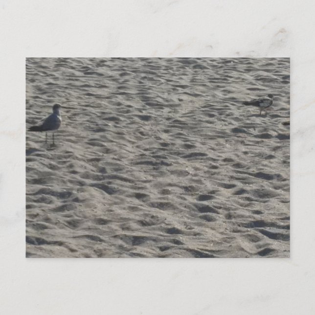 Carte postale de plage (Devant)