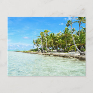 Carte postale de plage de coco