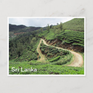 Carte Postale de plantation
