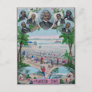 Carte Postale De Plantation Au Sénat