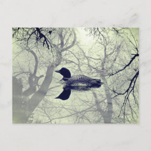 Carte postale de plongeon en noir et blanc sur un 