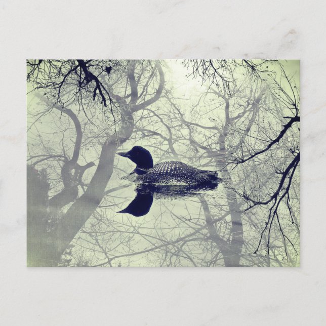 Carte postale de plongeon en noir et blanc sur un  (Devant)