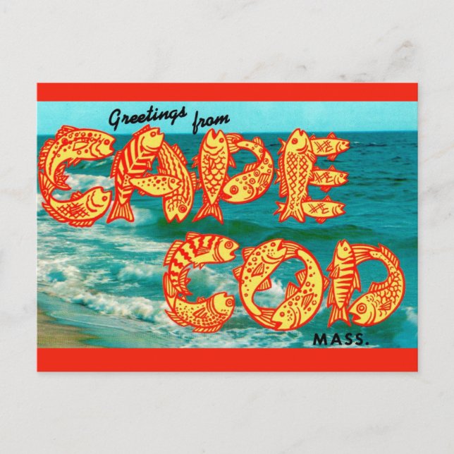 Carte postale de poisson de Cape Cod (Devant)