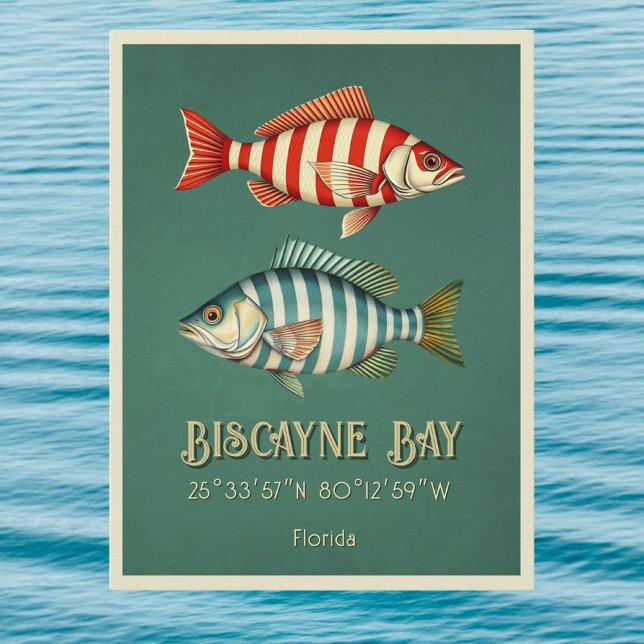 Carte postale de poissons de la baie de Biscayne e (Créateur téléchargé)