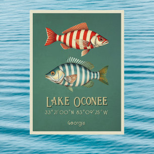 Carte postale de poissons striés du lac Oconee en 