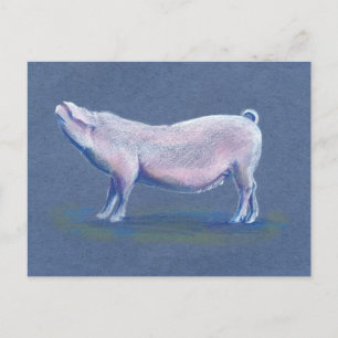 Carte postale de porc dessinée à la main