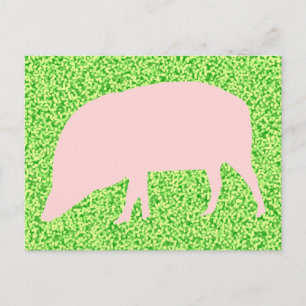 Carte postale de porc rose