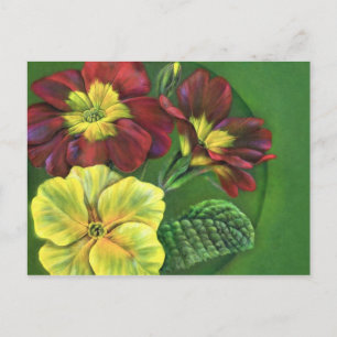 Carte postale de printemps Primula primroses