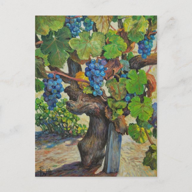 Carte postale de producteur 100 ans (Devant)