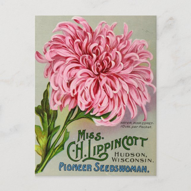 Carte postale de publicité de graines anciennes (Devant)