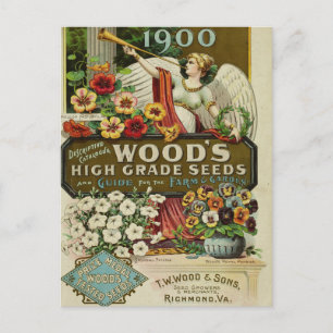 Carte postale de publicité de graines anciennes