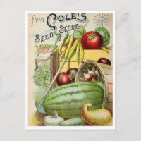 Carte postale de publicité de graines anciennes