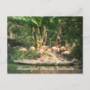 Carte postale de Puerto Vallarta