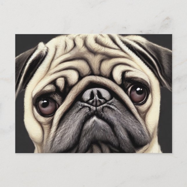 Carte postale de Pug (Devant)