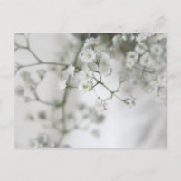 Carte postale de pureté