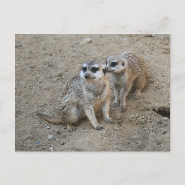 Carte Postale de Ragots (Devant)