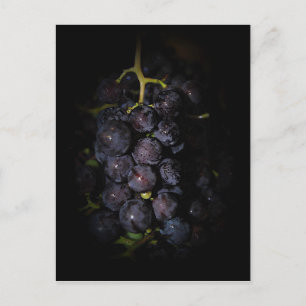 Carte postale de raisins violets