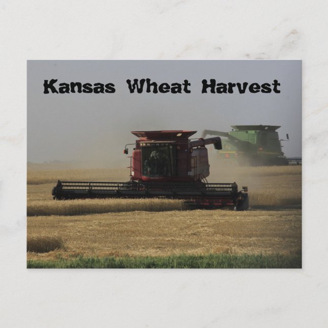 Carte postale de récolte de blé Kansas (Devant)