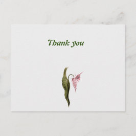 carte postale de remerciement 