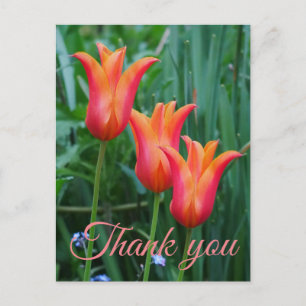 Carte postale de remerciement aux tulipes