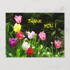 Carte postale de remerciement aux tulipes colorées