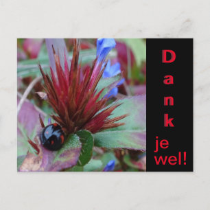 Carte postale de remerciement avec coccinelle mign